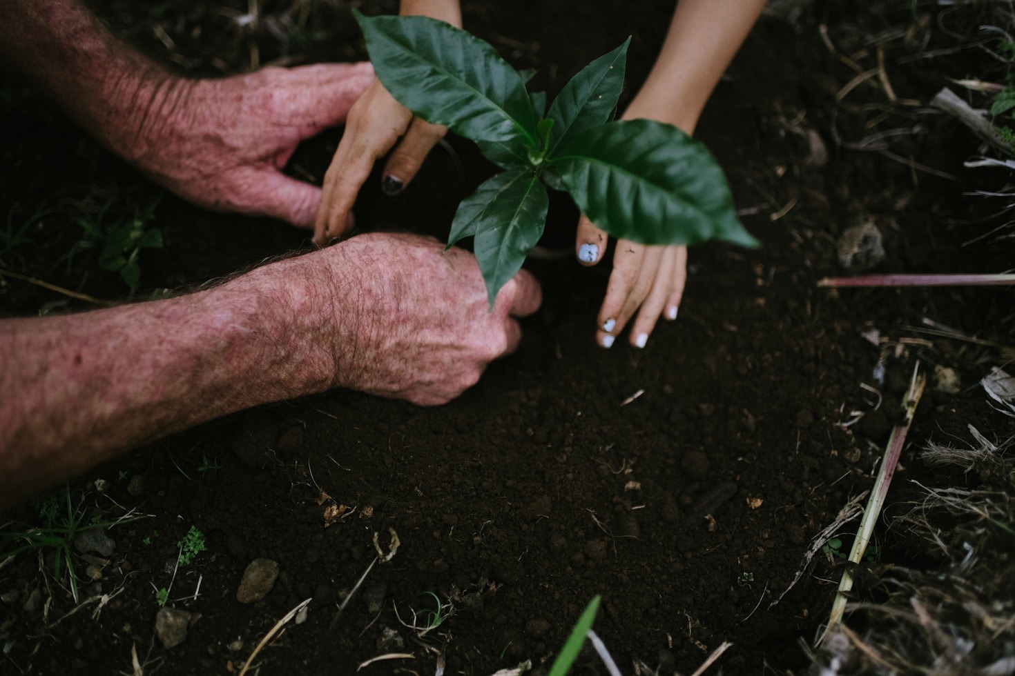 Por que a sustentabilidade é essencial para a comunidade